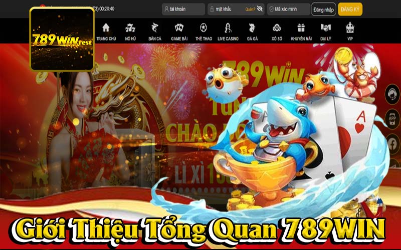 Giới Thiệu Tổng Quan 789win