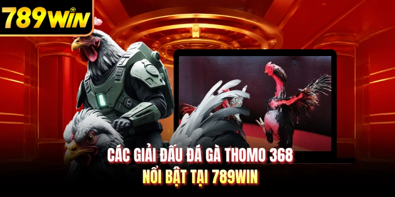 Các giải đấu đá gà Thomo 368 nổi bật tại 789WIN