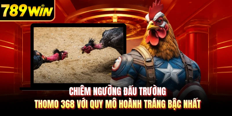 Chiêm ngưỡng đấu trường Thomo 368 với quy mô hoành tráng bậc nhất