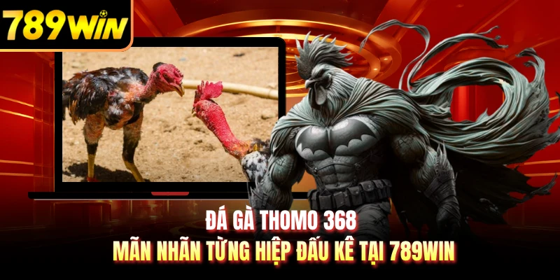 Đá Gà Thomo 368 - Mãn Nhãn Từng Hiệp Đấu Kê Tại 789WIN