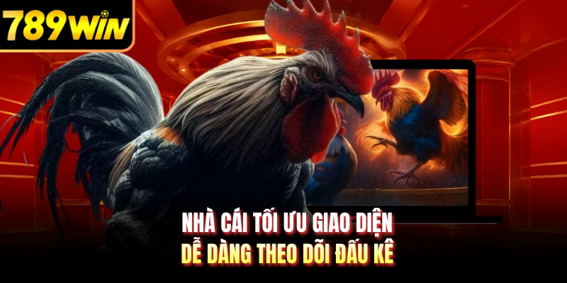 Nhà cái tối ưu giao diện dễ dàng theo dõi đấu kê