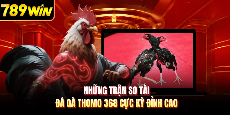 Những trận so tài đá gà Thomo 368 cực kỳ đỉnh cao