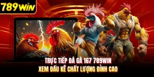 Trực Tiếp Đá Gà 167 789WIN - Xem Đấu Kê Chất Lượng Đỉnh Cao